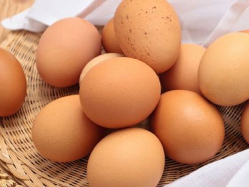 ¿Deberías refrigerar los huevos? Descubre la respuesta de la ciencia