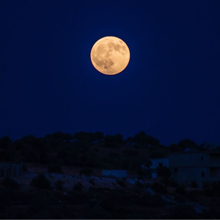 luna llena 31 de agosto del 2023 superluna en piscis