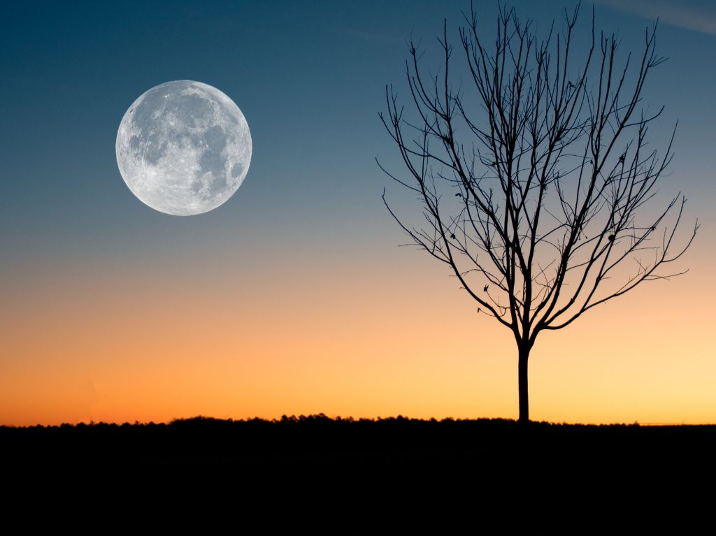 Luna llena del Ciervo: Rituales para la Super Luna