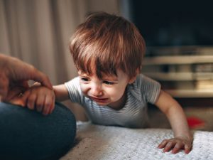 Pasos para un destete respetuoso