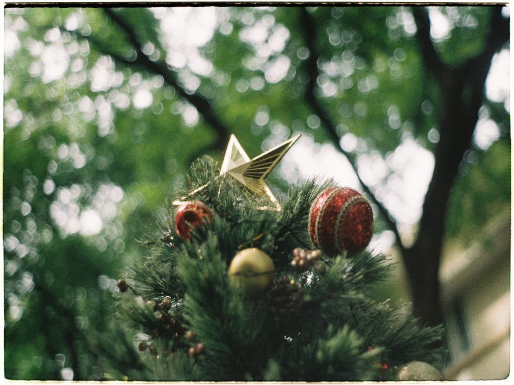 árbol de navidad estrellas