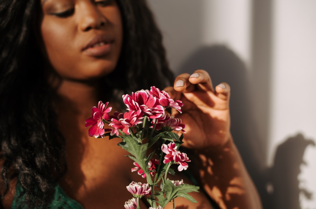 Plantas de sol que puedes tener en casa