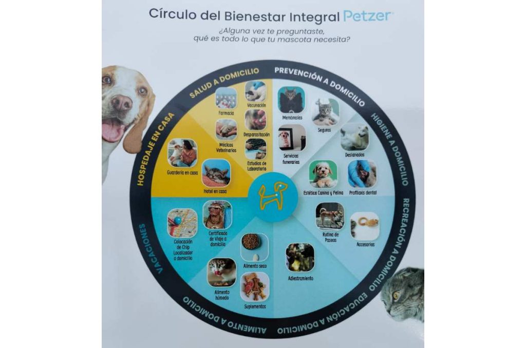 Descubre una tienda online enfocada en el bienestar de tu mascota 1