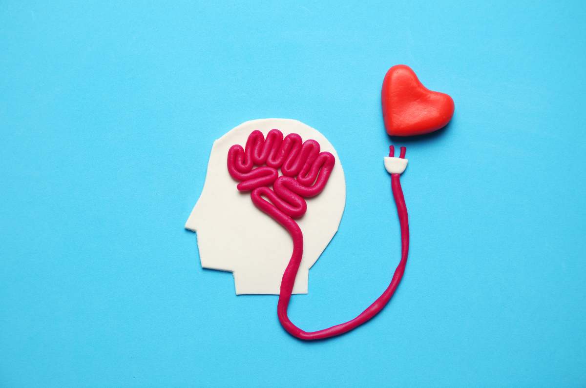 ¿Qué es la inteligencia emocional y cómo influye en nuestra relación amorosa?