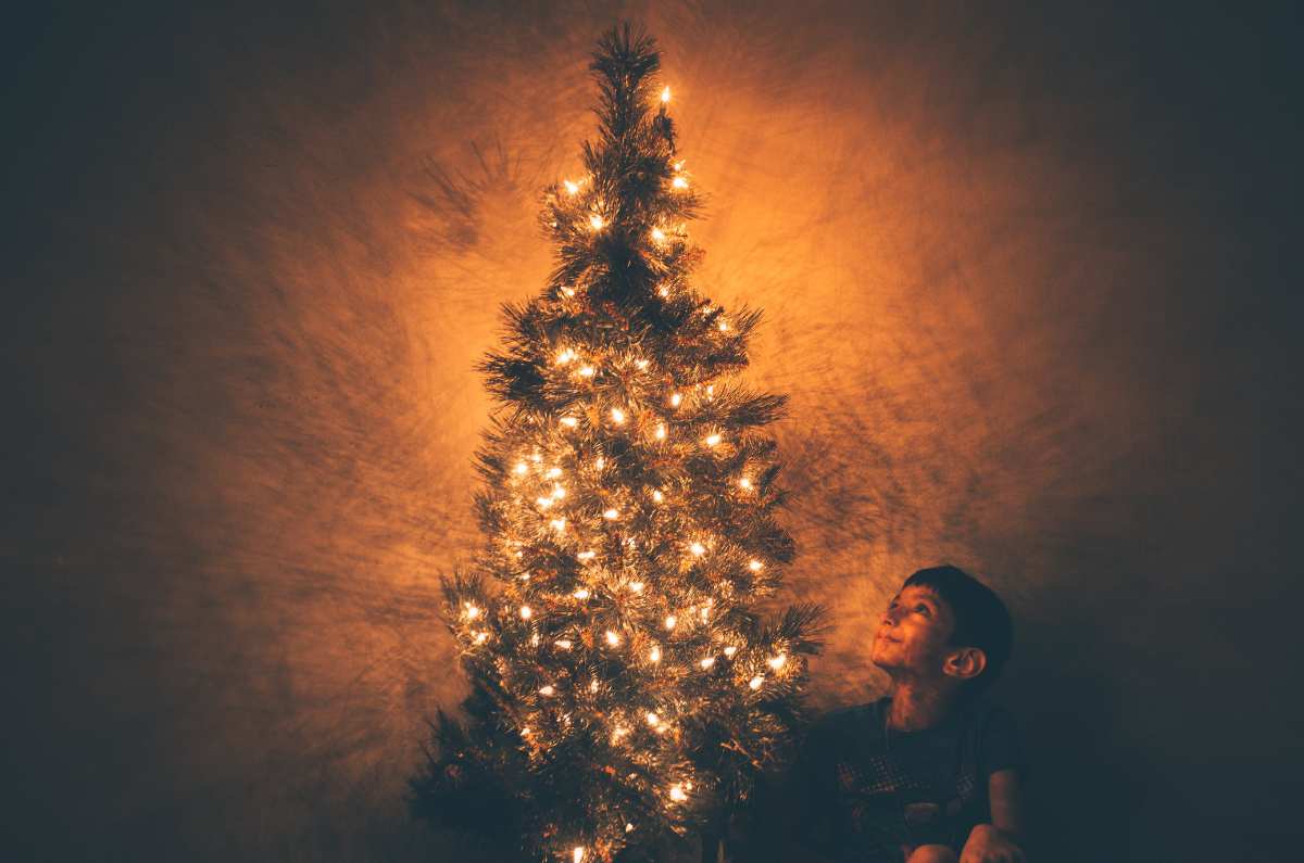 Cómo decorar el árbol de Navidad con menos de $500.00