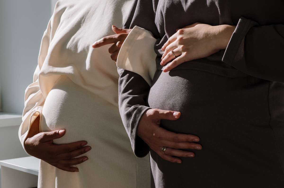 El enigma del cerebro femenino: las profundas alteraciones que ocurren durante el embarazo