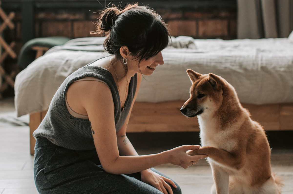 Snacks saludables que le encantarán a tu perrito