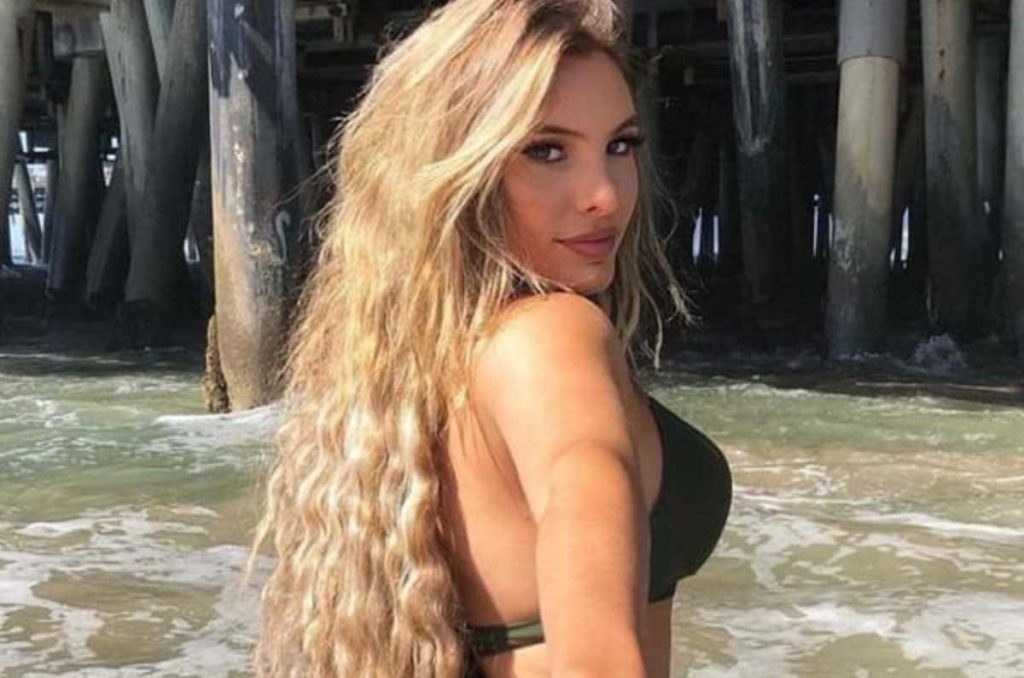 lele pons influencer