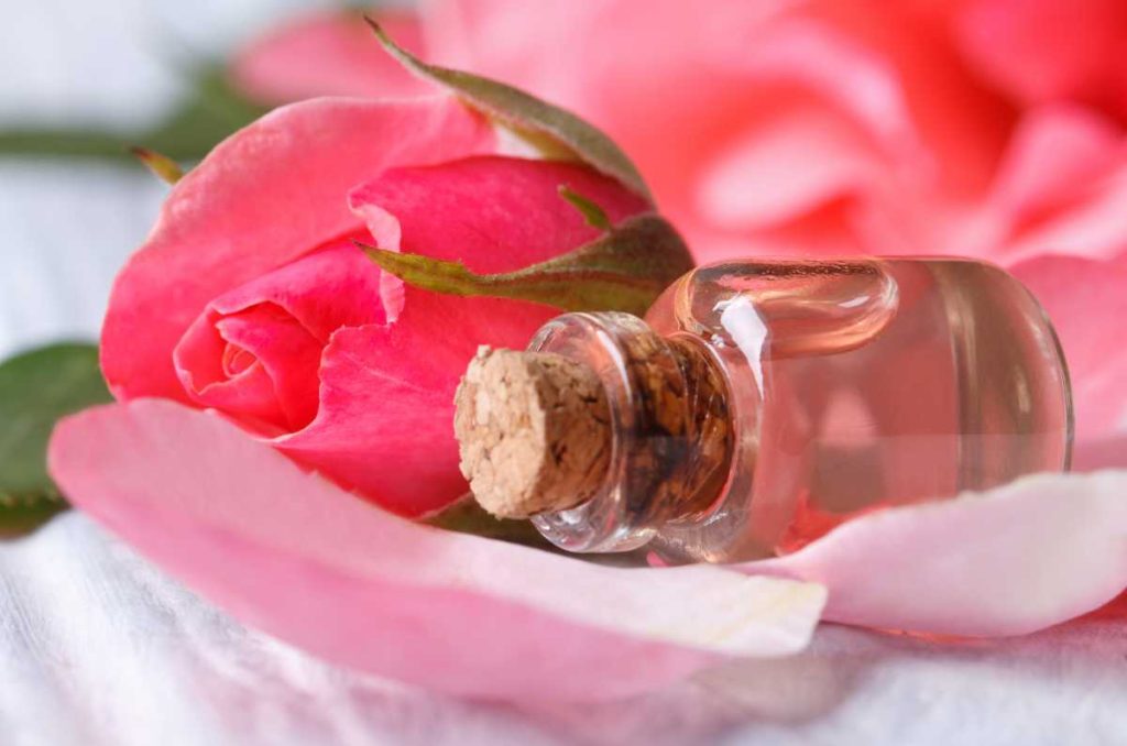 Consejos útiles para sacarle provecho a tu agua de rosas 1