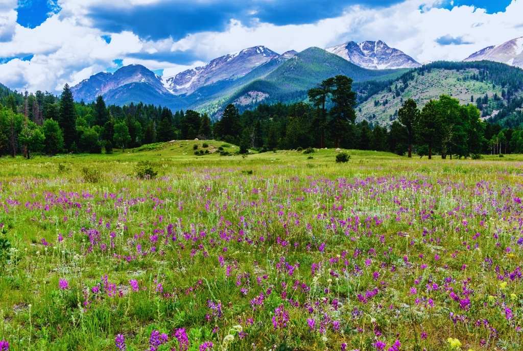 La primavera trae consigo la renovación y un cambio de energía