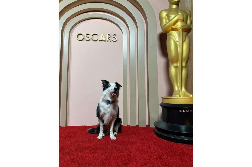 Los mejores momentos de los premios Oscar 2024 1