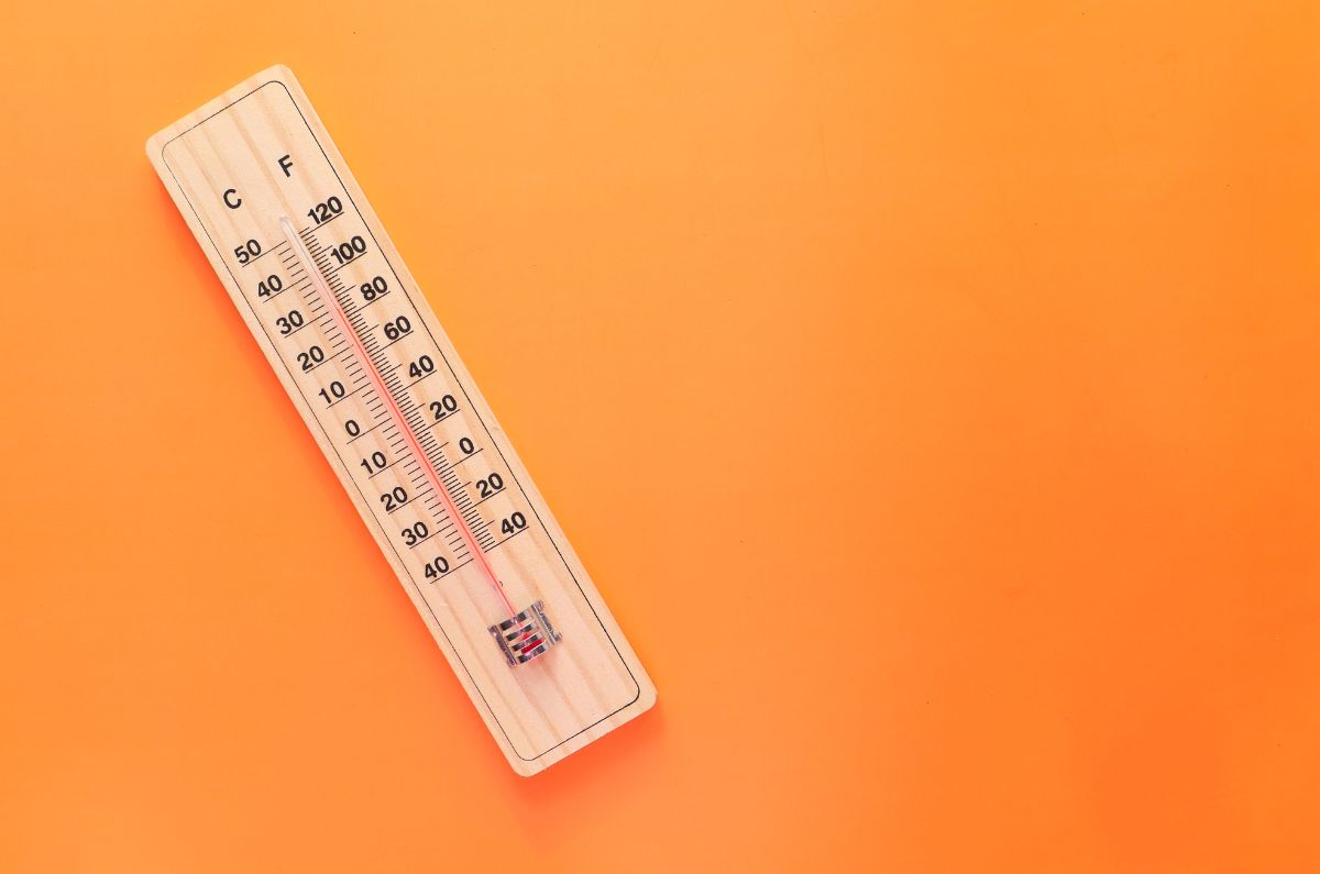 5 formas de mantenerte hidratada en esta ola de calor