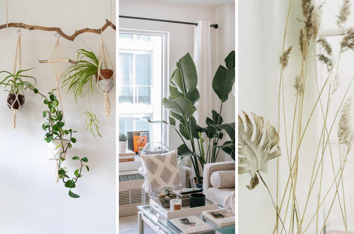 Ideas para decorar los rincones de tu casa con plantas