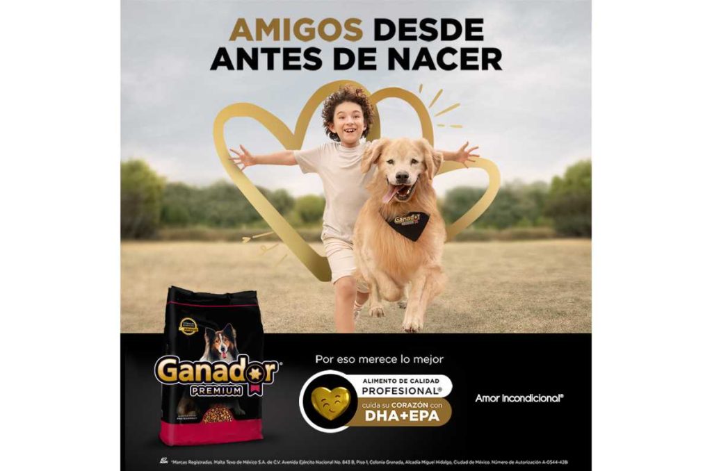 ¿Cómo elegir el alimento correcto para nuestras mascotas? 4