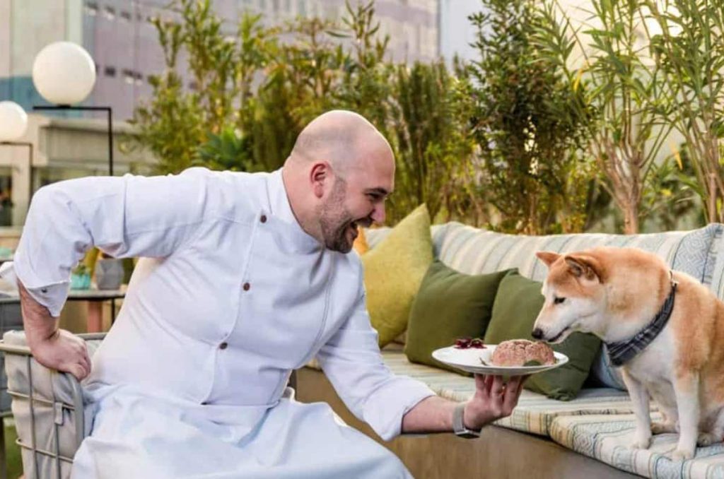 4 planes divertidos para celebrar el Día del Perro a lado de tu lomito 2