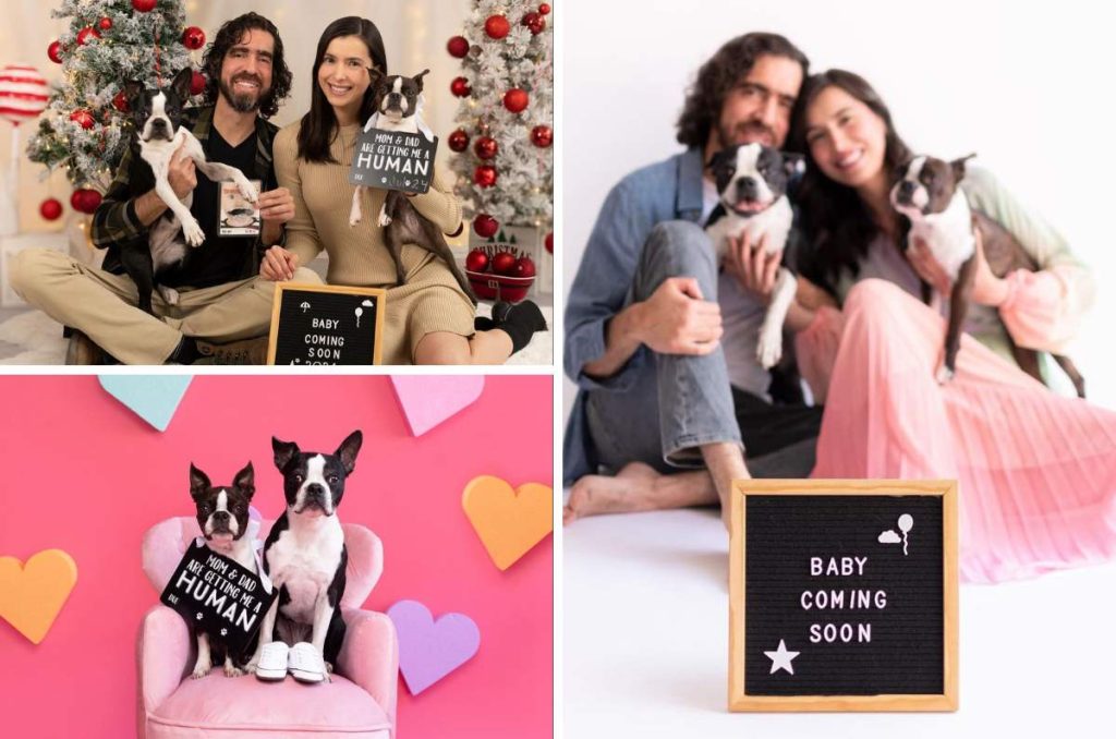 4 planes divertidos para celebrar el Día del Perro a lado de tu lomito 1