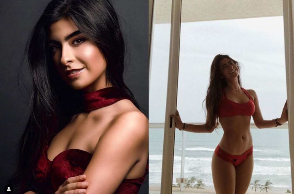 Así luce la hija de Adal Ramones en su faceta como modelo 2
