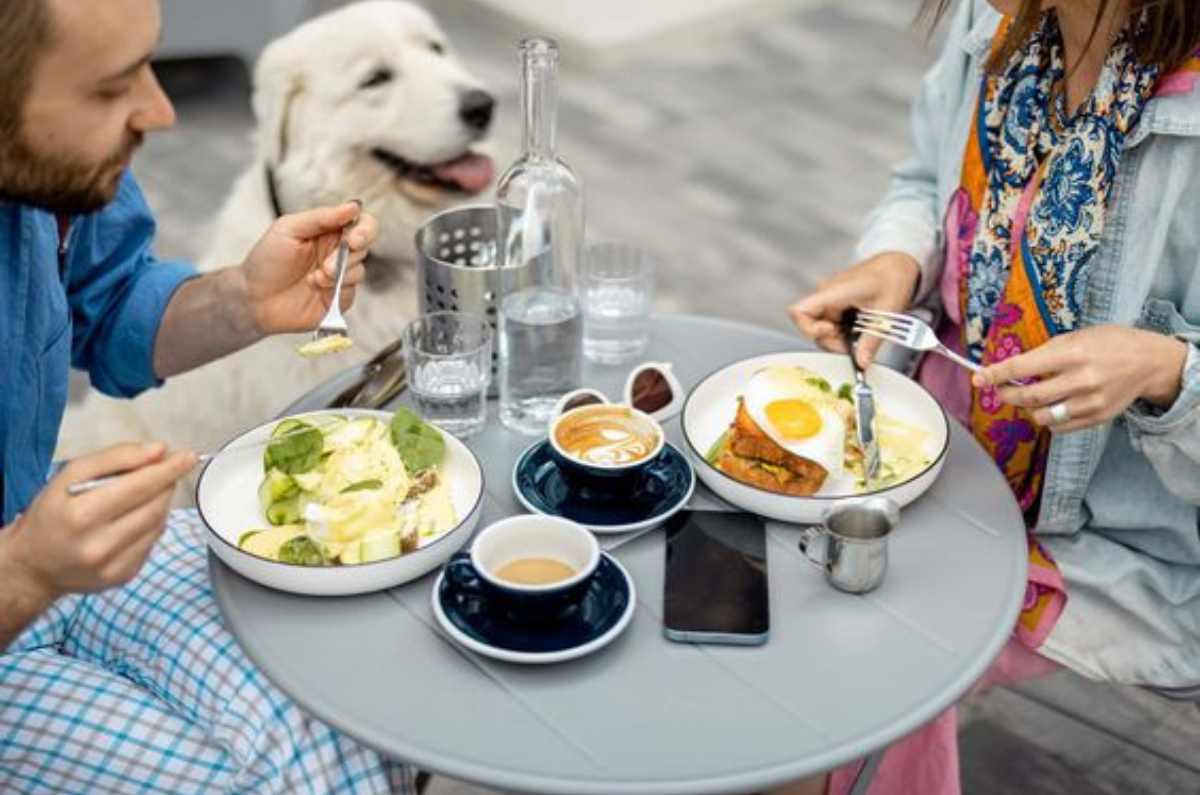Los mejores restaurantes pet friendly para ir a comer acompañado de tu mascota