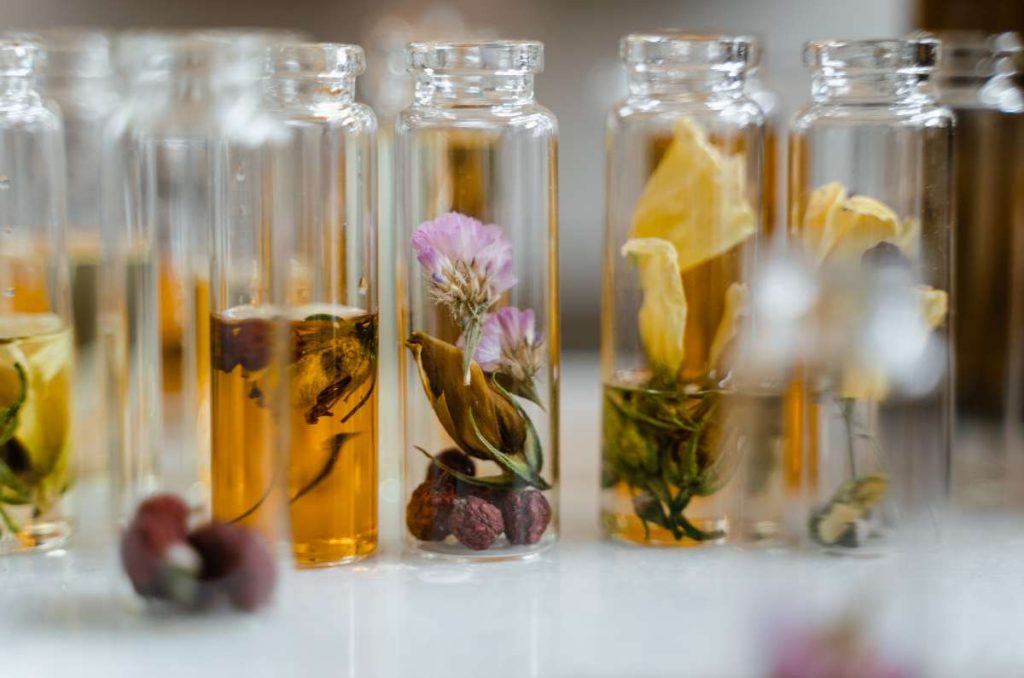 cómo identificar las notas de perfumes principales