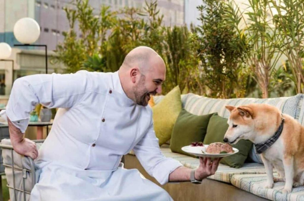 Los mejores restaurantes pet friendly para ir a comer acompañado de tu mascota 5