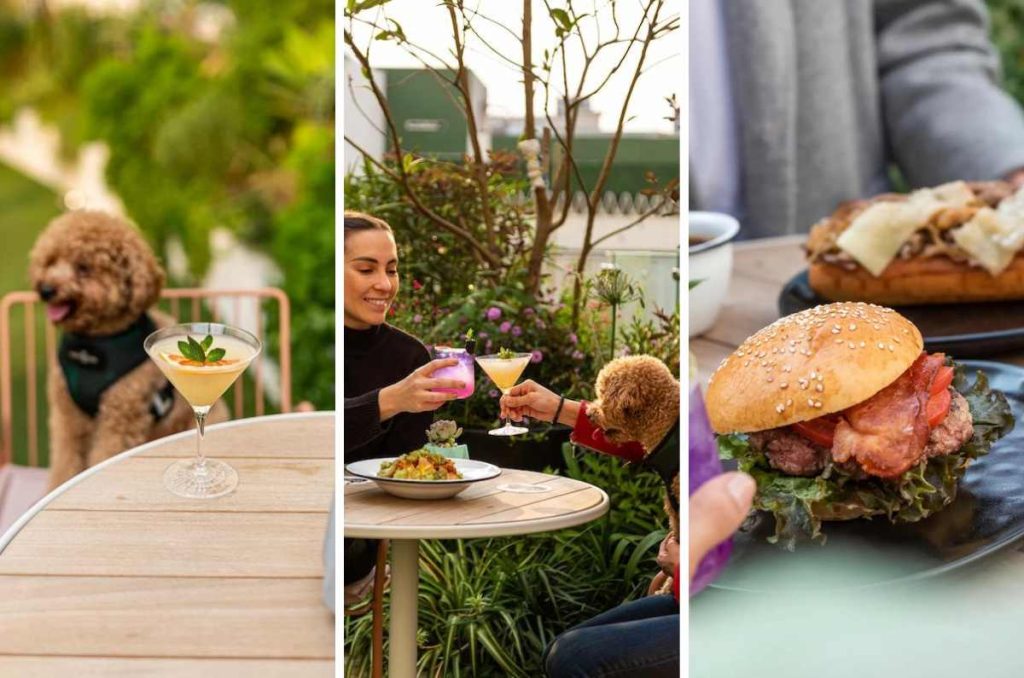 Los mejores restaurantes pet friendly para ir a comer acompañado de tu mascota 4