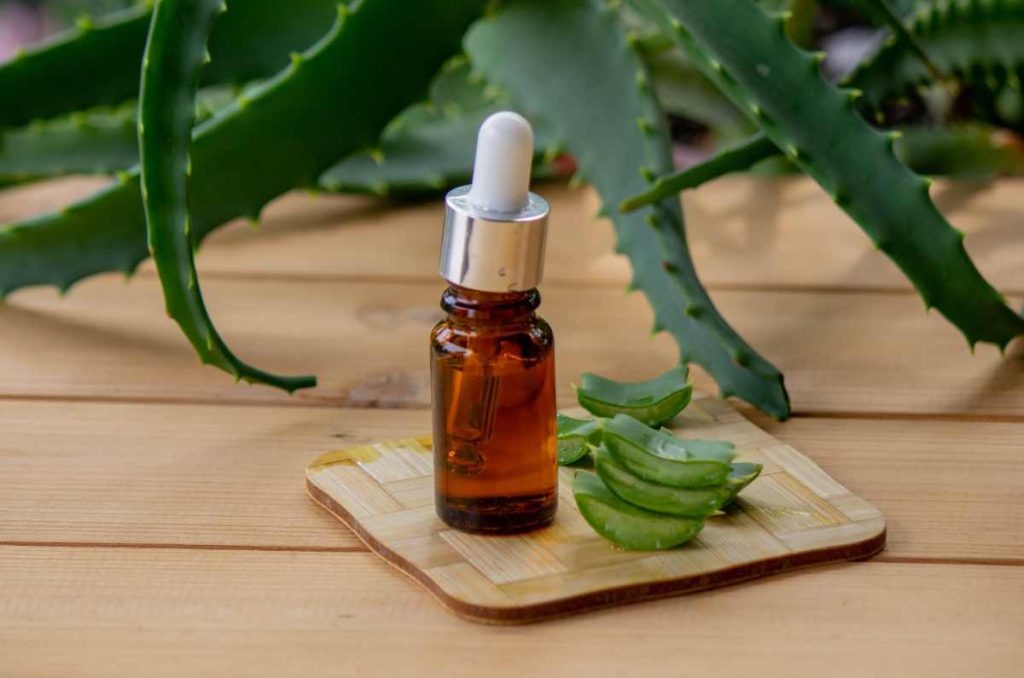 Usos que le puedes dar al aloe vera para un cabello saludable 2