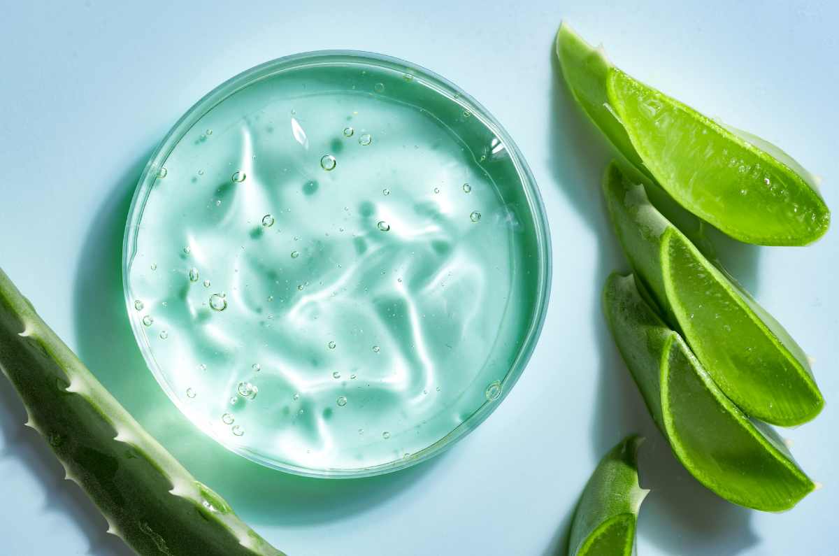 Usos que le puedes dar al aloe vera para un cabello saludable
