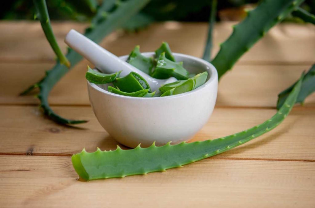 Usos que le puedes dar al aloe vera para un cabello saludable 3