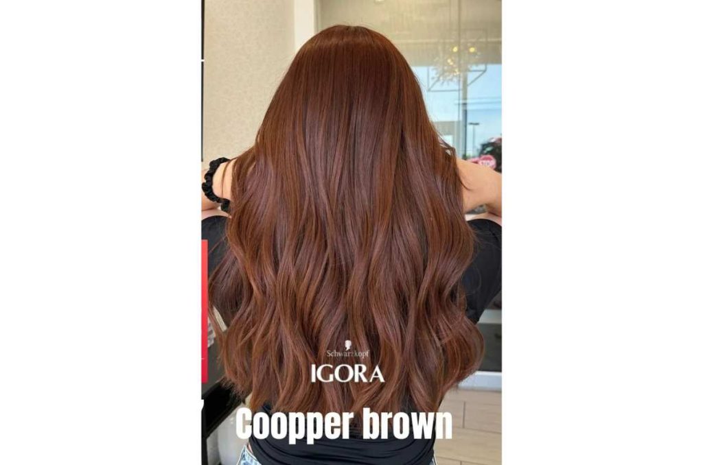 10 tintes de cabello para morenas a los 40 años 3