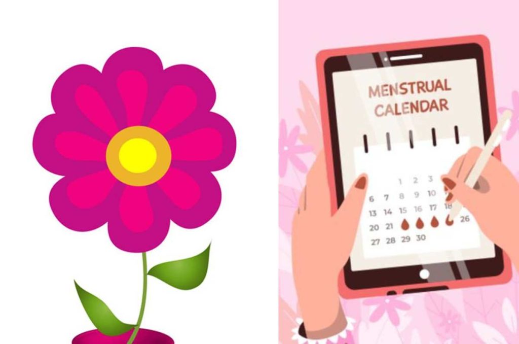 Apps para registrar tu periodo
