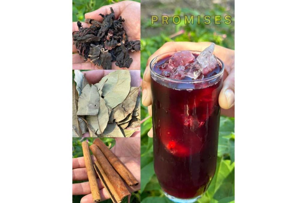 Beneficios de la jamaica, canela y el laurel