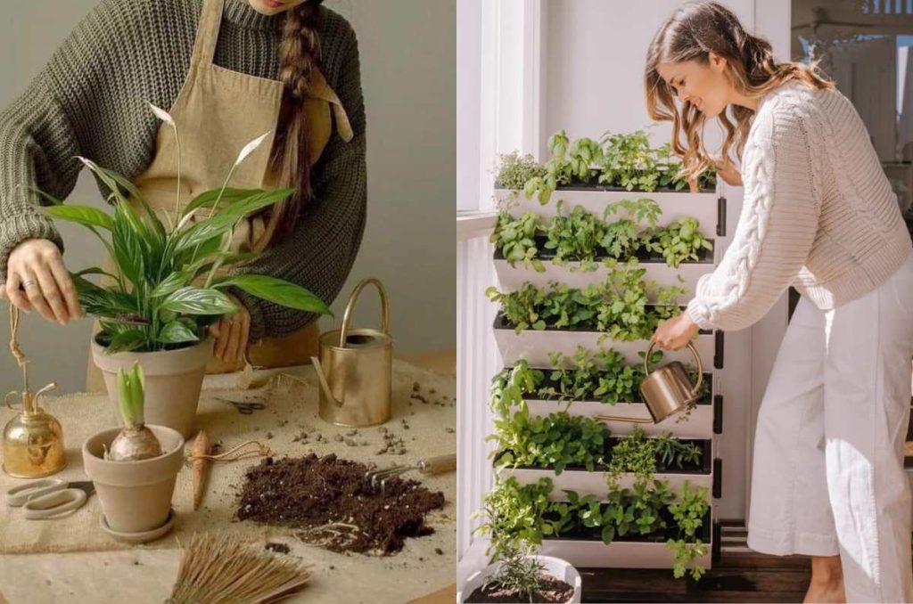 6 hobbies creativos para mantener tu mente activa en vacaciones 5