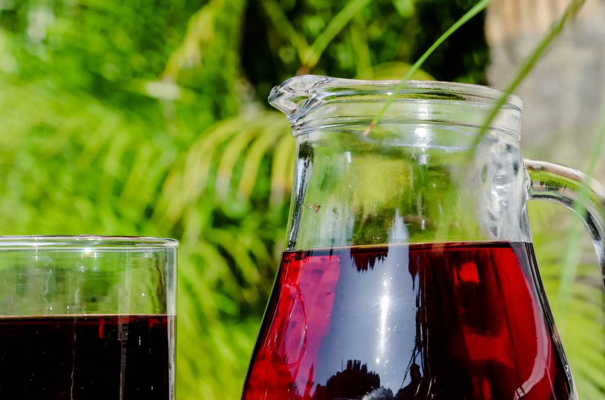 ¿Qué pasa si tomas agua de jamaica con canela y laurel diario por un mes?
