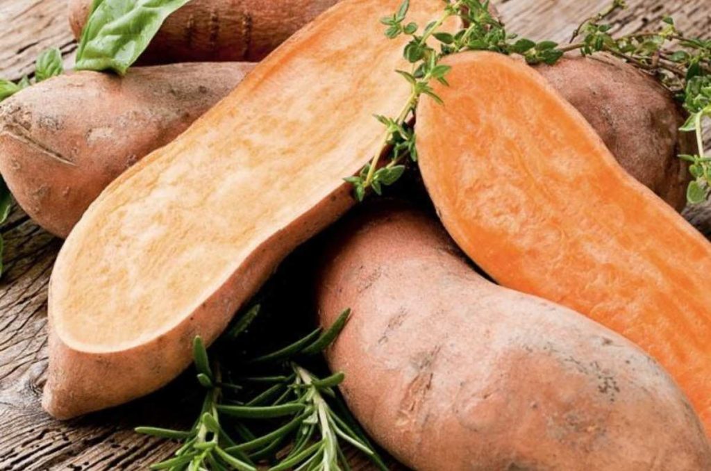 6 beneficios de consumir camote, la colación sana que necesitarás todos los días 0