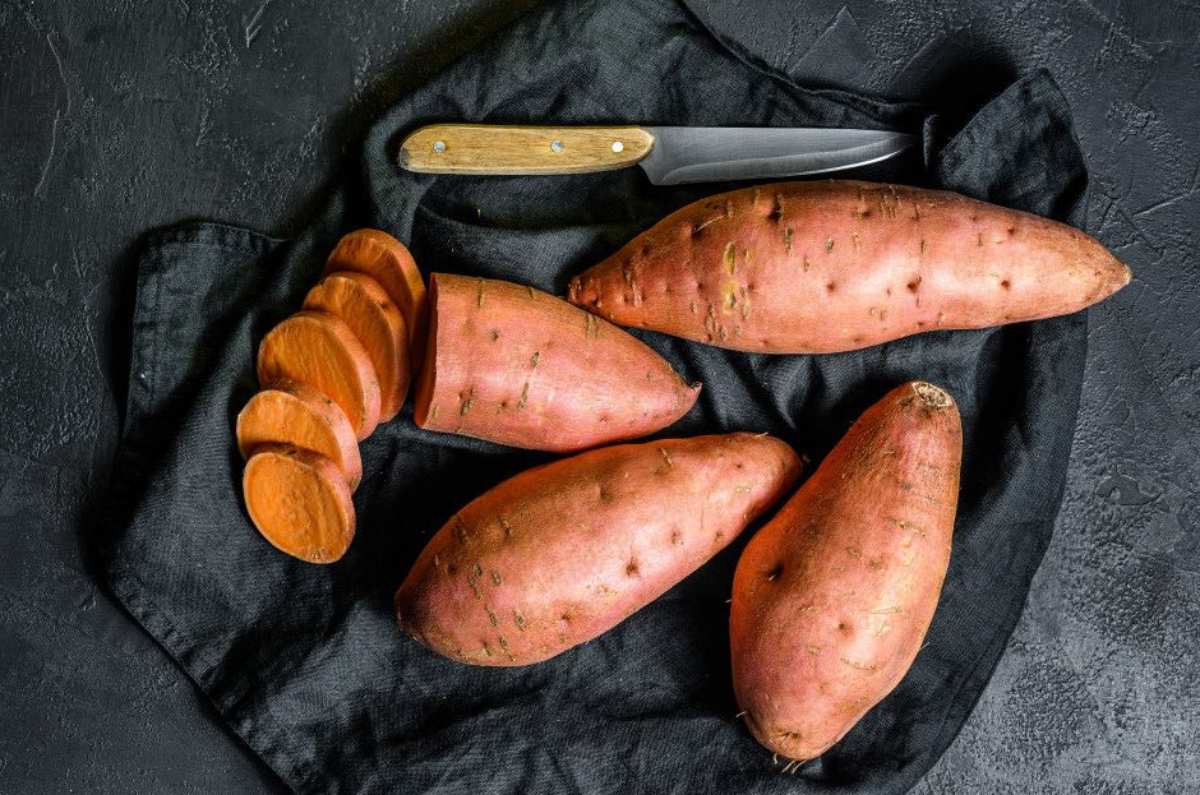 6 beneficios de consumir camote, la colación sana que necesitarás todos los días