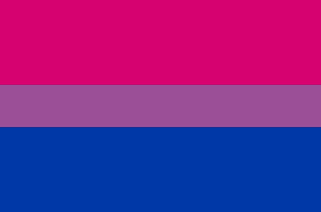 banderas-lgbt-2025-significado-5