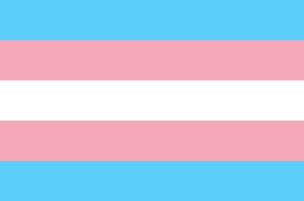 banderas-lgbt-2025-significado-7