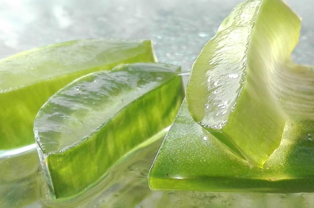 cubitos-de-aloe-vera-pixabay-2