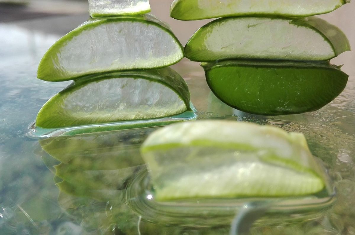 Cubitos de hielo de aloe vera: qué son y cómo preparar el truco natural que transforma tu rutina