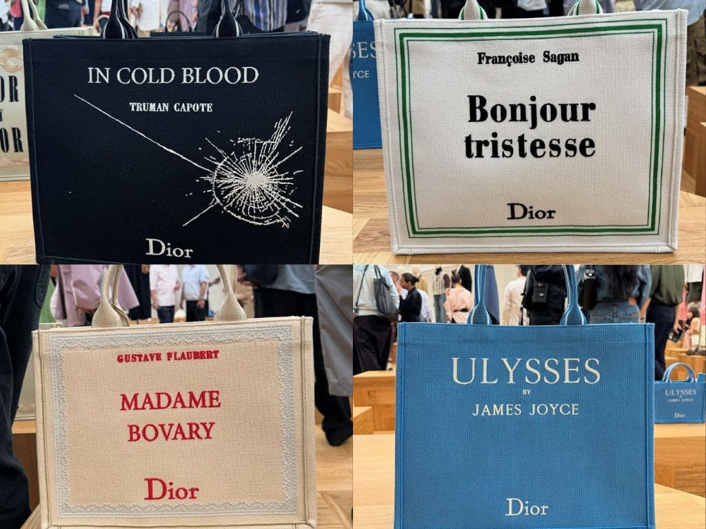 Dior Book Tote (JW Anderson, 2025)