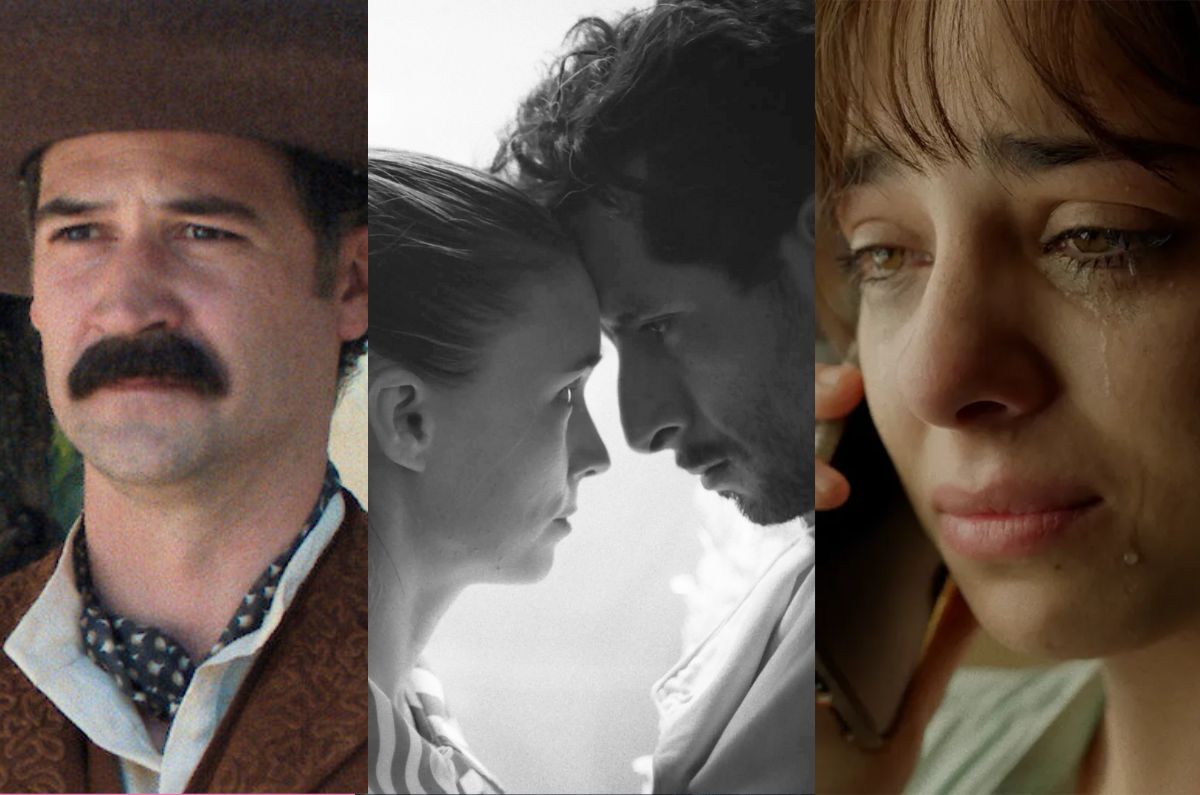 Dónde ver las películas nominadas a los Premios Ariel 2025 
