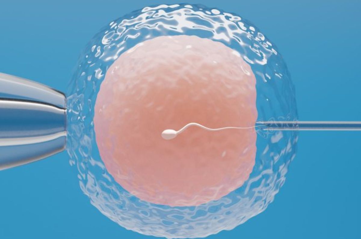 Todo sobre la fecundación in vitro: cómo funciona, en qué casos se recomienda y qué riesgos implica
