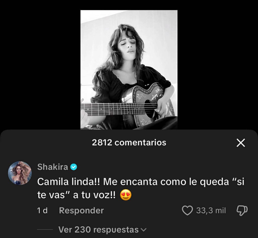 Camila Cabello subió su versión de esta canción de Shakira y esto fue lo que pasó  