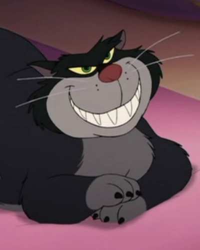 gatos de Hollywood