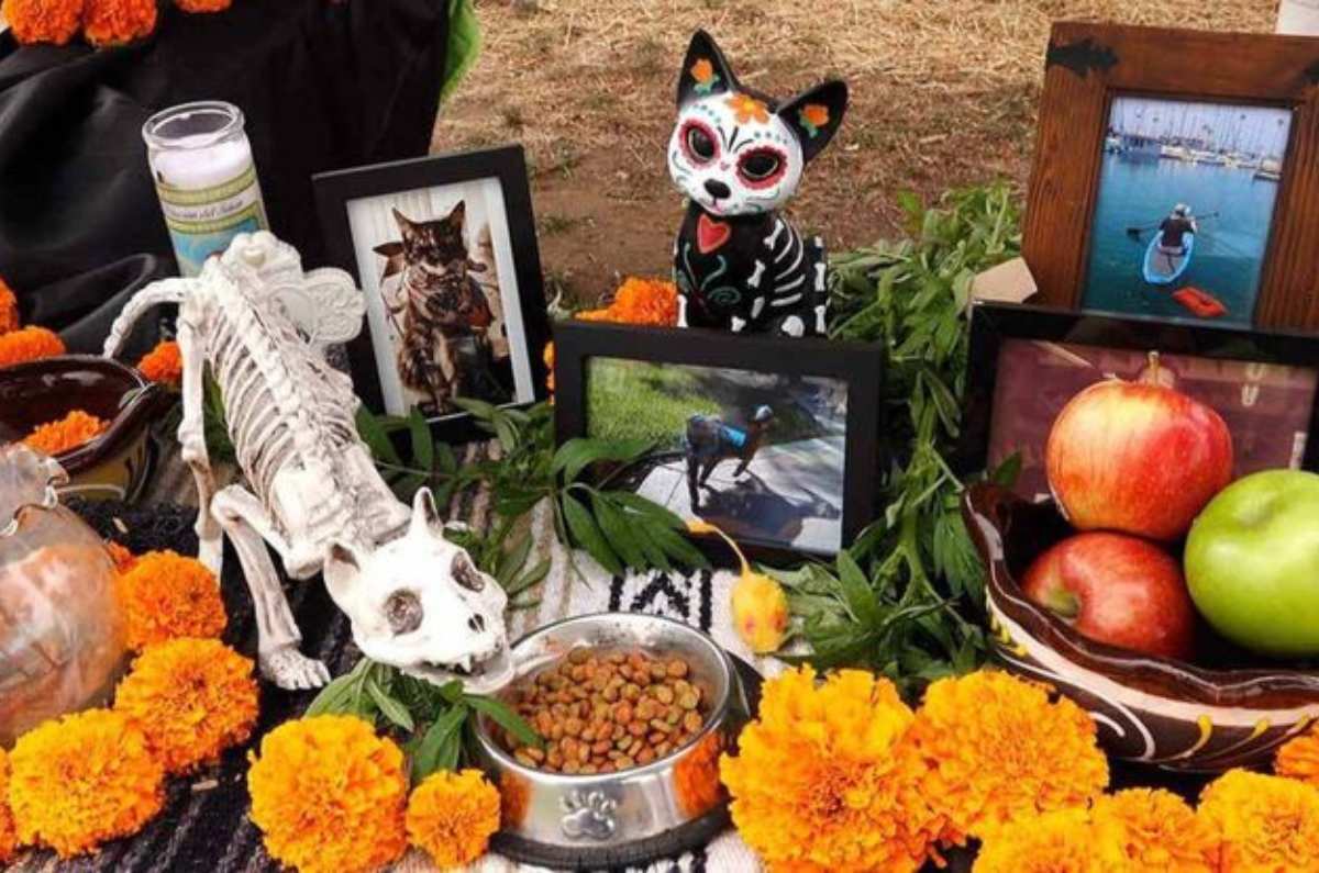 Ofrenda para mascotas: cuándo ponerla y qué día se celebra en Día de Muertos