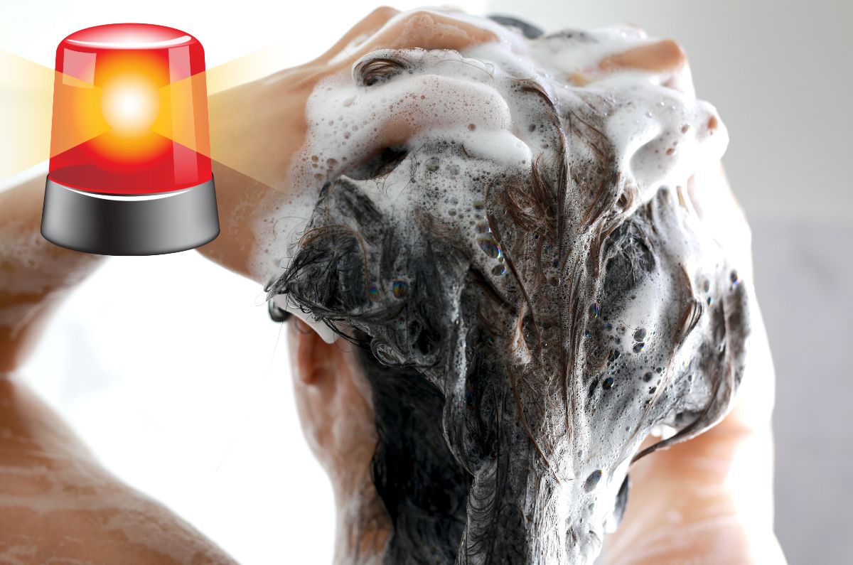 Profeco alerta sobre shampoo contaminado con bacteria que puede causar infecciones