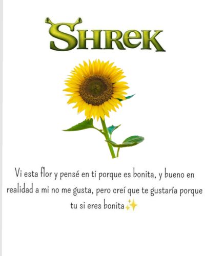 Girasoles amarillos