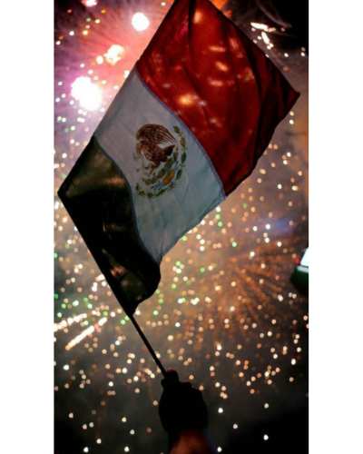 Cómo proteger a mi perro de pirotecnia en las fiestas patrias