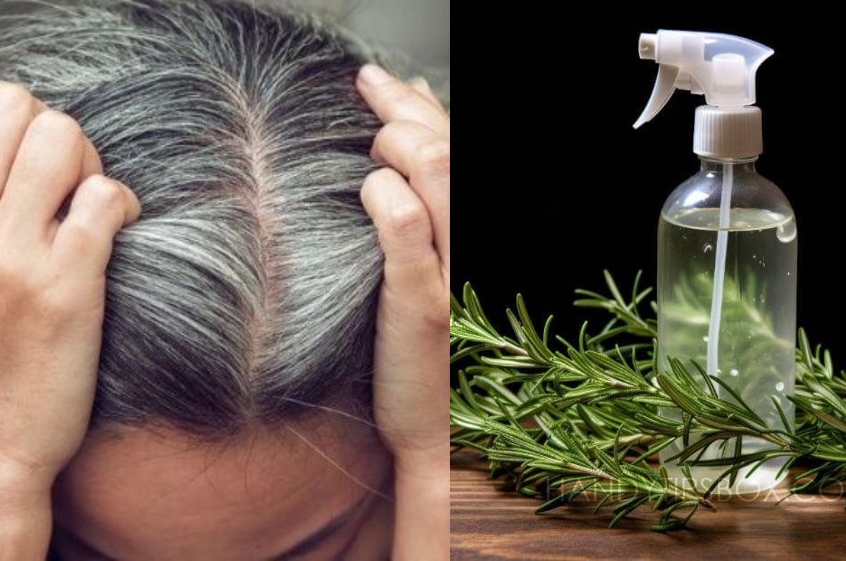 Tónico de romero para canas: oscurece tu cabello naturalmente