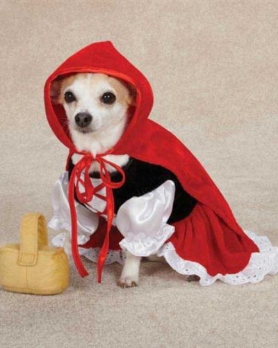Disfraces de caperucita roja para perros chihuahua